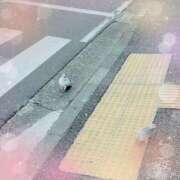 ヒメ日記 2025/01/09 17:50 投稿 如月和子 五十路マダムエクスプレス横浜店（カサブランカグループ）