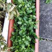 ヒメ日記 2025/01/11 19:40 投稿 如月和子 五十路マダムエクスプレス横浜店（カサブランカグループ）