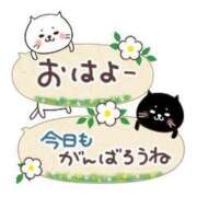 ヒメ日記 2025/01/04 07:18 投稿 富田琴葉 五十路マダムエクスプレス横浜店（カサブランカグループ）