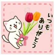 ヒメ日記 2025/04/27 16:14 投稿 富田琴葉 五十路マダムエクスプレス横浜店（カサブランカグループ）