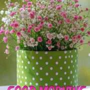 ヒメ日記 2025/05/25 05:28 投稿 富田琴葉 五十路マダムエクスプレス横浜店（カサブランカグループ）