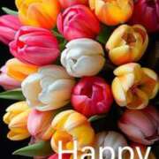 ヒメ日記 2025/05/28 06:30 投稿 富田琴葉 五十路マダムエクスプレス横浜店（カサブランカグループ）