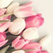 ヒメ日記 2025/06/04 05:50 投稿 富田琴葉 五十路マダムエクスプレス横浜店（カサブランカグループ）