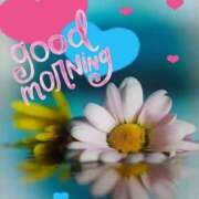 ヒメ日記 2025/06/12 06:50 投稿 富田琴葉 五十路マダムエクスプレス横浜店（カサブランカグループ）