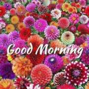 ヒメ日記 2025/06/25 06:54 投稿 富田琴葉 五十路マダムエクスプレス横浜店（カサブランカグループ）