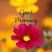 ヒメ日記 2025/08/26 05:30 投稿 富田琴葉 五十路マダムエクスプレス横浜店（カサブランカグループ）