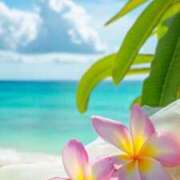 ヒメ日記 2025/08/28 07:38 投稿 富田琴葉 五十路マダムエクスプレス横浜店（カサブランカグループ）