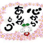 ヒメ日記 2025/11/19 16:30 投稿 富田琴葉 五十路マダムエクスプレス横浜店（カサブランカグループ）