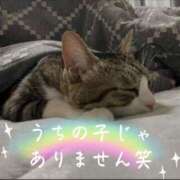 ヒメ日記 2025/02/09 09:00 投稿 黒井みか 五十路マダムエクスプレス横浜店（カサブランカグループ）