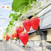 ヒメ日記 2025/03/01 13:00 投稿 黒井みか 五十路マダムエクスプレス横浜店（カサブランカグループ）