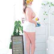 ヒメ日記 2025/12/11 08:02 投稿 黒井みか 五十路マダムエクスプレス横浜店（カサブランカグループ）