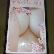 ヒメ日記 2025/04/01 10:20 投稿 大槻要 五十路マダムエクスプレス横浜店（カサブランカグループ）