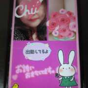 ヒメ日記 2025/04/04 10:04 投稿 大槻要 五十路マダムエクスプレス横浜店（カサブランカグループ）