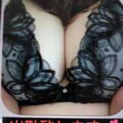 ヒメ日記 2025/04/07 10:22 投稿 大槻要 五十路マダムエクスプレス横浜店（カサブランカグループ）