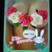 ヒメ日記 2025/04/14 13:16 投稿 大槻要 五十路マダムエクスプレス横浜店（カサブランカグループ）