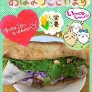 ヒメ日記 2025/08/09 08:06 投稿 大槻要 五十路マダムエクスプレス横浜店（カサブランカグループ）