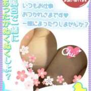 ヒメ日記 2026/01/29 17:54 投稿 大槻要 五十路マダムエクスプレス横浜店（カサブランカグループ）