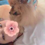 ヒメ日記 2025/04/16 19:25 投稿 れい リッチドールパート2梅田店