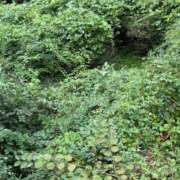 ヒメ日記 2025/08/07 22:28 投稿 れい リッチドールパート2梅田店