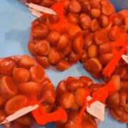 ヒメ日記 2025/11/09 10:15 投稿 れい リッチドールパート2梅田店