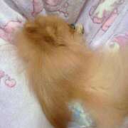 ヒメ日記 2026/04/03 08:45 投稿 れい リッチドールパート2梅田店