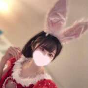 ヒメ日記 2024/12/28 15:20 投稿 ちひろ My Essentials