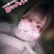 ヒメ日記 2025/02/09 05:40 投稿 ちひろ My Essentials