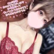 ヒメ日記 2025/02/11 01:30 投稿 ちひろ My Essentials