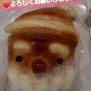 ヒメ日記 2024/12/17 14:09 投稿 ひろみ モアグループ川越人妻花壇