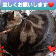 ヒメ日記 2025/01/04 12:23 投稿 ひろみ モアグループ川越人妻花壇