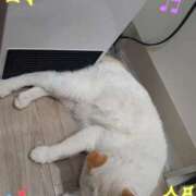 ヒメ日記 2025/03/10 10:52 投稿 ひろみ モアグループ川越人妻花壇