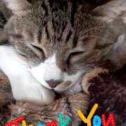 ヒメ日記 2025/03/10 19:28 投稿 ひろみ モアグループ川越人妻花壇