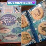 ヒメ日記 2025/03/16 11:13 投稿 ひろみ モアグループ川越人妻花壇