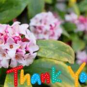 ヒメ日記 2025/03/16 22:46 投稿 ひろみ モアグループ川越人妻花壇