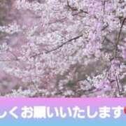 ヒメ日記 2025/04/01 11:24 投稿 ひろみ モアグループ川越人妻花壇