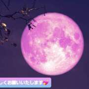 ヒメ日記 2025/04/13 12:52 投稿 ひろみ モアグループ川越人妻花壇