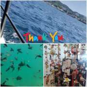 ヒメ日記 2025/05/06 20:58 投稿 ひろみ モアグループ川越人妻花壇