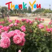 ヒメ日記 2025/05/08 20:43 投稿 ひろみ モアグループ川越人妻花壇