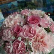 ヒメ日記 2025/05/11 08:24 投稿 ひろみ モアグループ川越人妻花壇