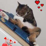 ヒメ日記 2025/05/18 21:11 投稿 ひろみ モアグループ川越人妻花壇