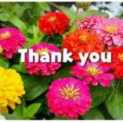 ヒメ日記 2025/05/24 18:34 投稿 ひろみ モアグループ川越人妻花壇