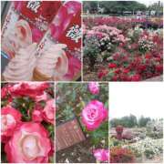 ヒメ日記 2025/05/29 20:54 投稿 ひろみ モアグループ川越人妻花壇