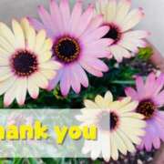 ヒメ日記 2025/06/01 10:39 投稿 ひろみ モアグループ川越人妻花壇