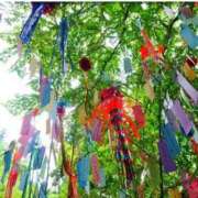 ヒメ日記 2025/07/07 10:15 投稿 ひろみ モアグループ川越人妻花壇