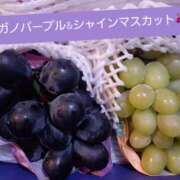 ヒメ日記 2025/07/16 11:10 投稿 ひろみ モアグループ川越人妻花壇