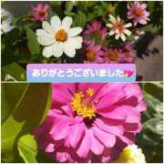 ヒメ日記 2025/07/21 14:33 投稿 ひろみ モアグループ川越人妻花壇