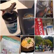 ヒメ日記 2025/08/08 21:14 投稿 ひろみ モアグループ川越人妻花壇