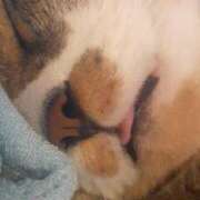 ヒメ日記 2025/09/16 12:48 投稿 ひろみ モアグループ川越人妻花壇