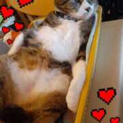 ヒメ日記 2025/10/08 13:17 投稿 ひろみ モアグループ川越人妻花壇