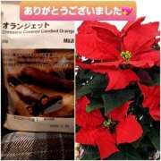 ヒメ日記 2025/11/28 20:55 投稿 ひろみ モアグループ川越人妻花壇